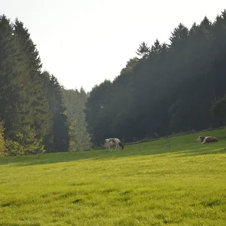 Haus Muhle Ferienhaus *