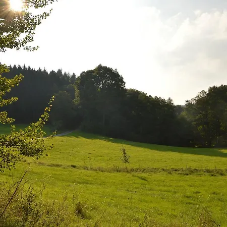 Ferienhaus Haus Muhle Heidweiler